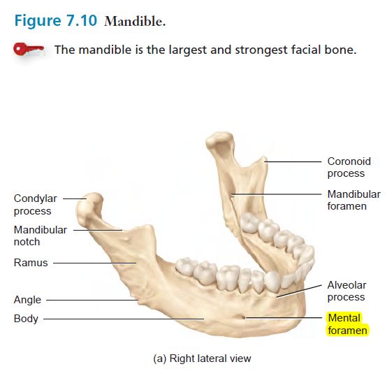 5ddfc28feb60e.jpg#s-554,528