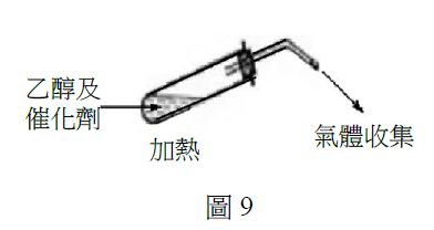 5df06606f1a0d.jpg#s-392,208