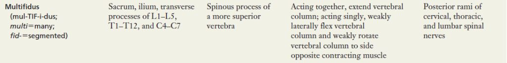 5df838a6b973b.jpg#s-1024,129