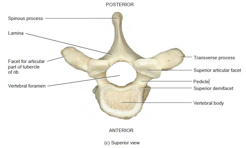 5df86a5497c96.jpg#s-806,482