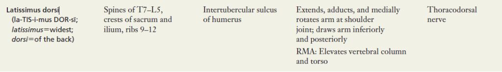 5df86f8129e74.jpg#s-1024,147