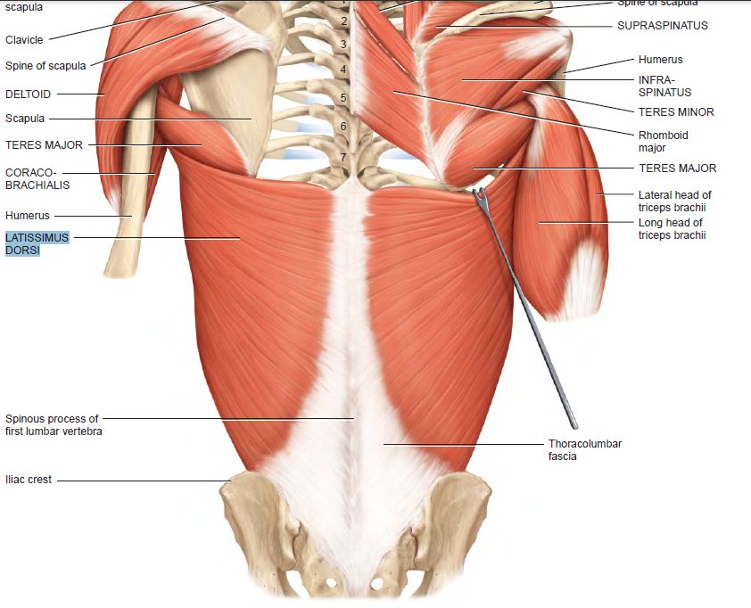 5df870104bb02.jpg#s-842,682