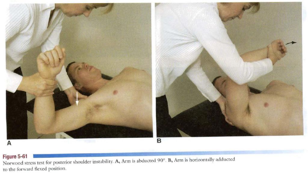 5df8710b37cad.jpg#s-1024,580