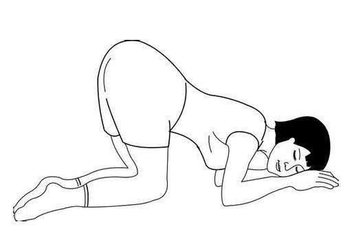 5e119e3026cb7.jpg#s-499,333