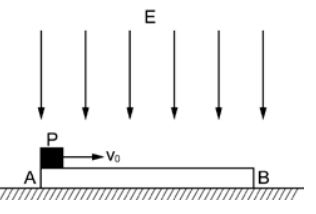5e1e849a40963.jpg