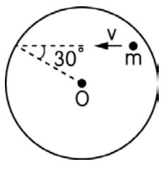5e1e8558d5a1a.jpg