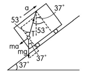 5e1e8633a787c.jpg