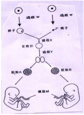 5e256b734c8d6.jpg
