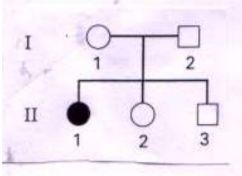 5e256bd3e069d.jpg