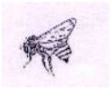5e256c9345822.jpg