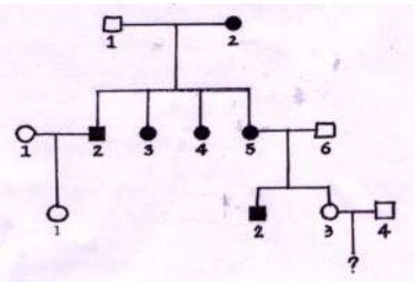 5e256dec66ebf.jpg