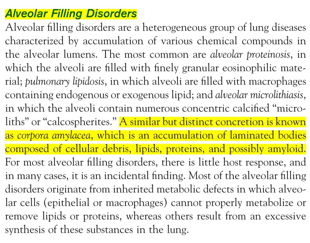 5e29a6bf21e93.jpg#s-1024,802