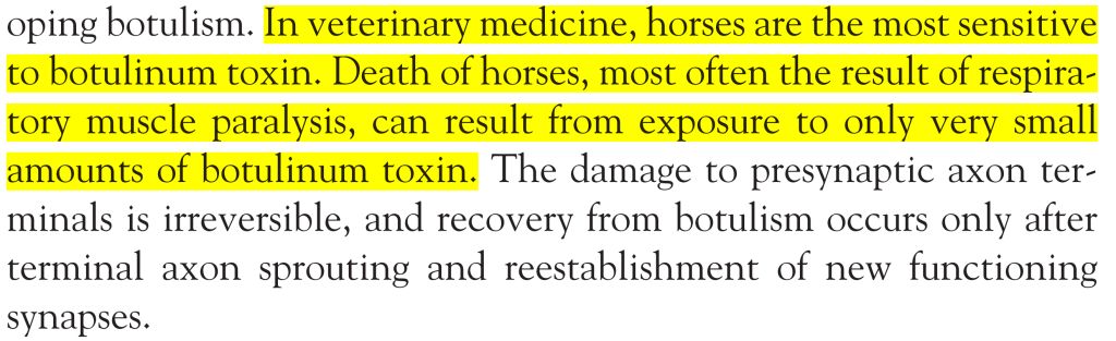 5e2a99010bf46.jpg#s-1024,313