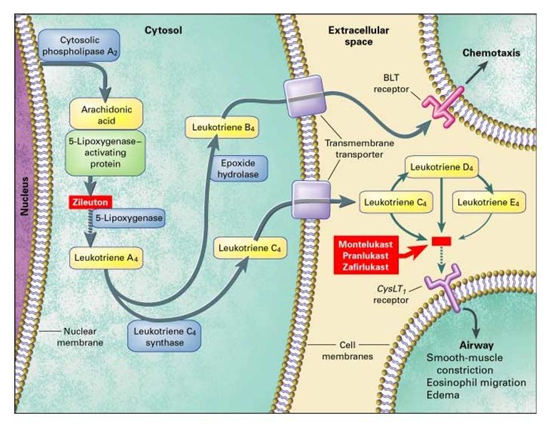 5e2fb1ca246dc.jpg#s-772,599