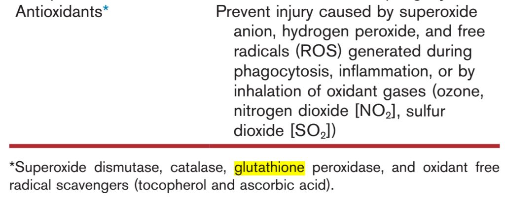 5e3008067c5da.jpg#s-1024,421