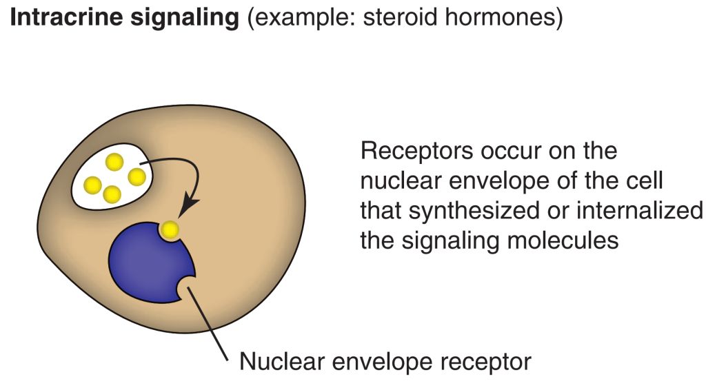 5e30f8099ce30.jpg#s-1024,553