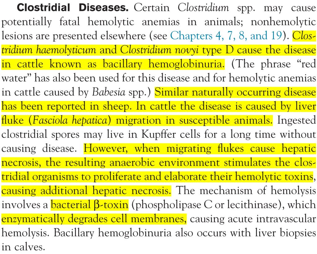 5e32adb5938ac.jpg#s-1024,820