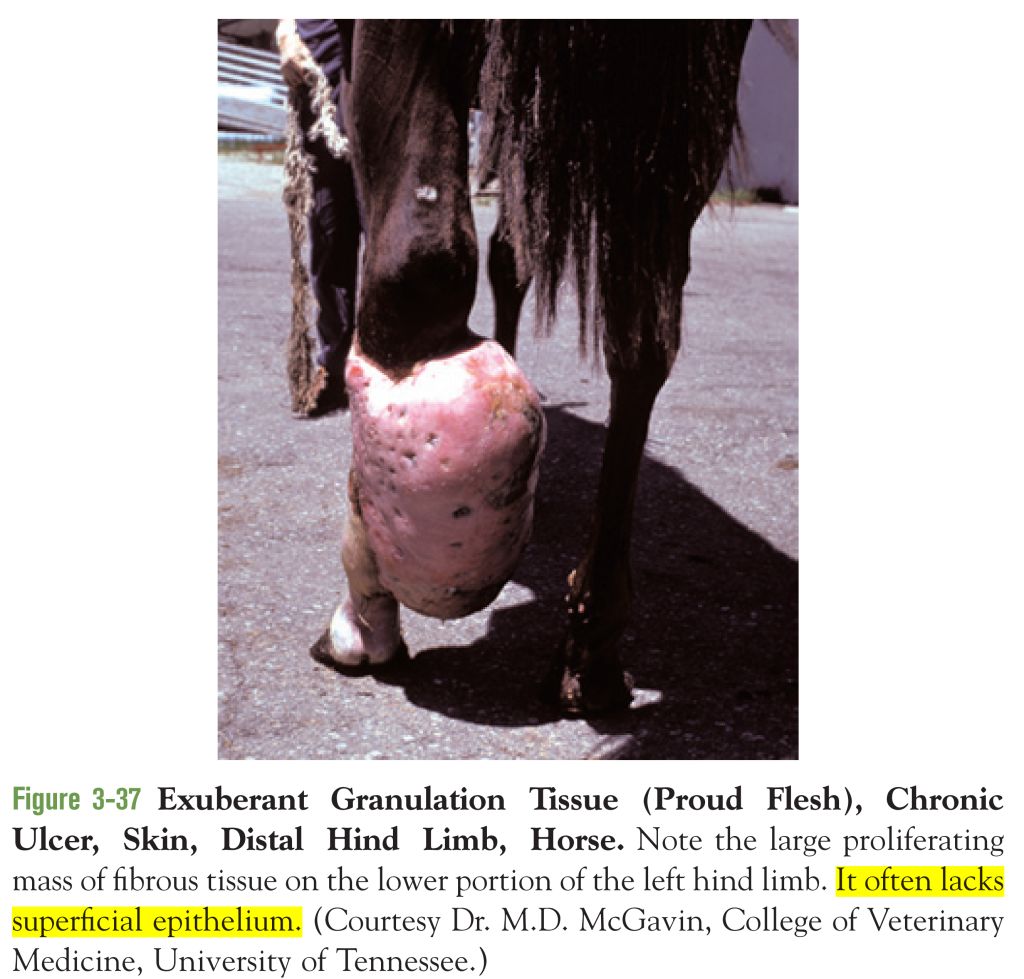 5e33d8adb6b65.jpg#s-1024,979