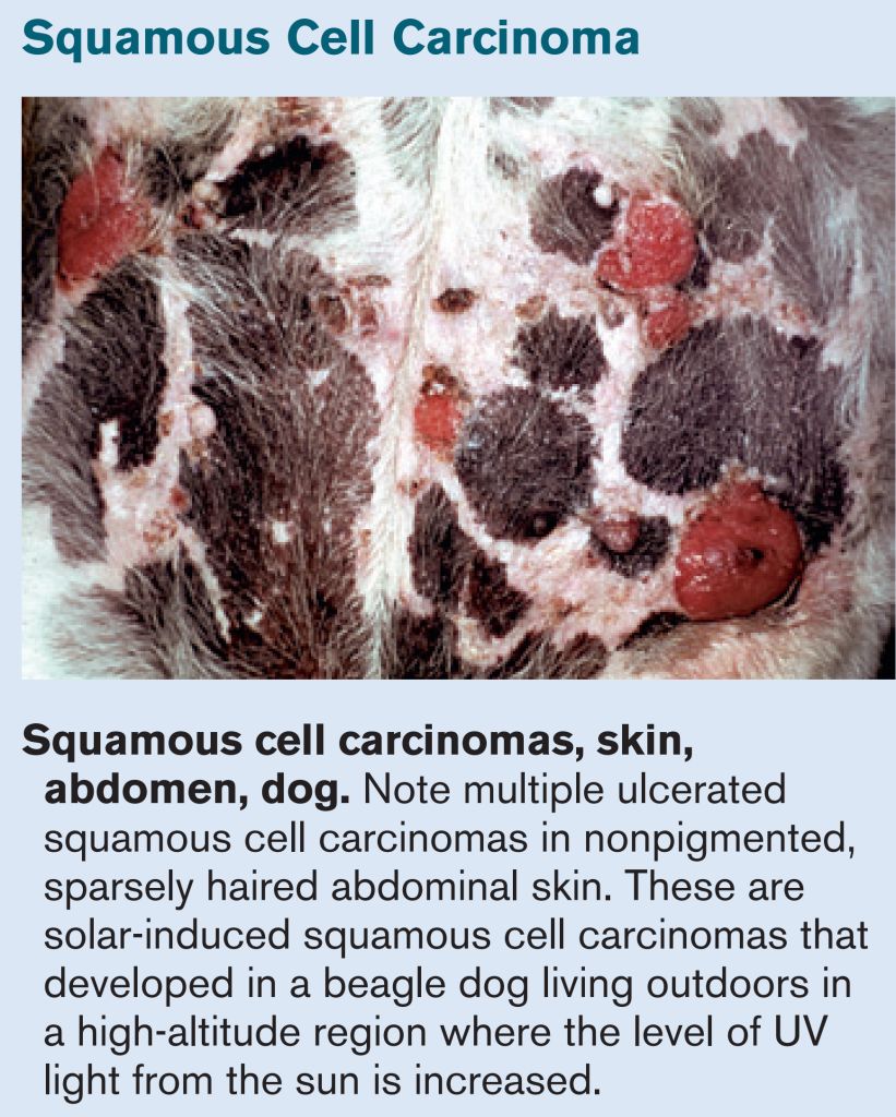 5e33dbcc0a472.jpg#s-821,1024