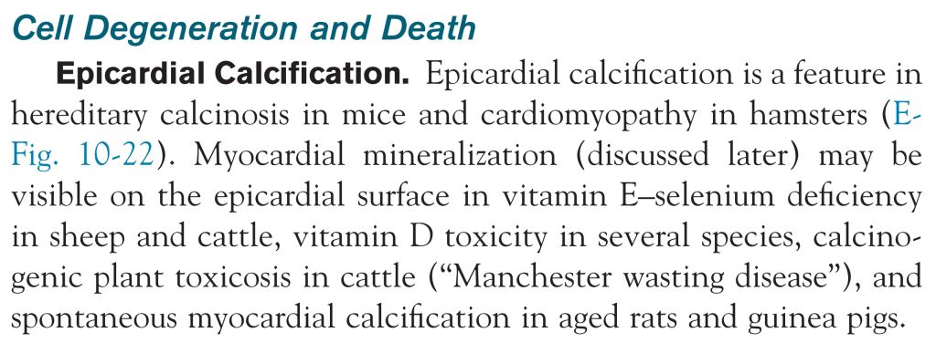 5e33e01294814.jpg#s-1024,376