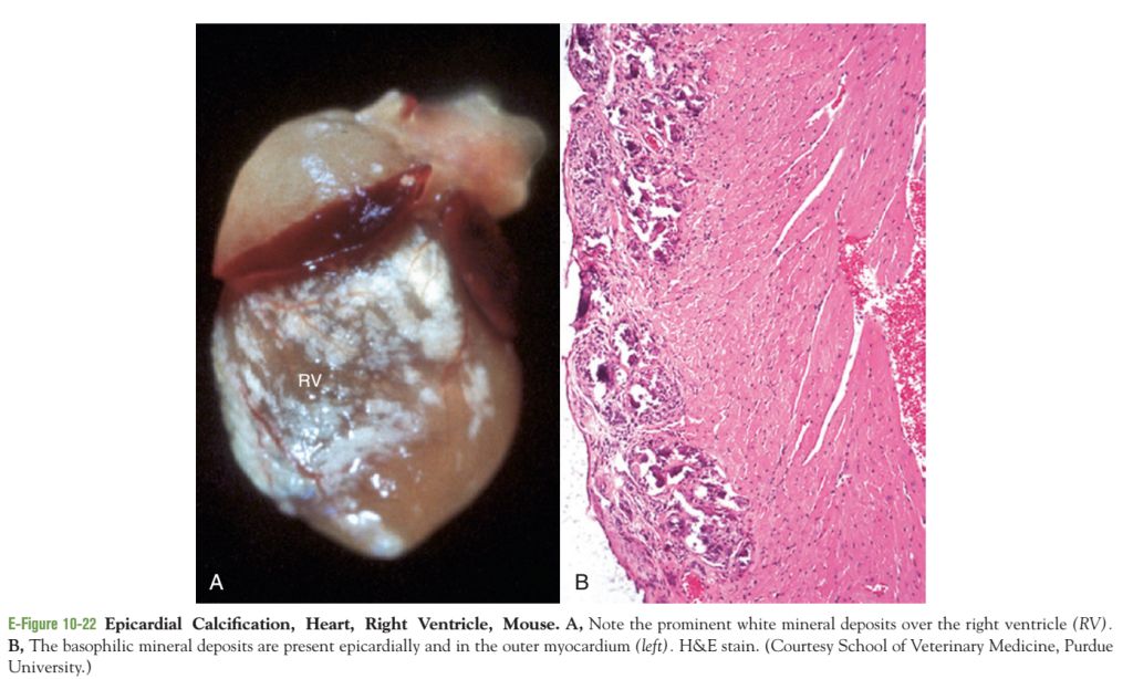 5e33e0cd1604c.jpg#s-1024,614