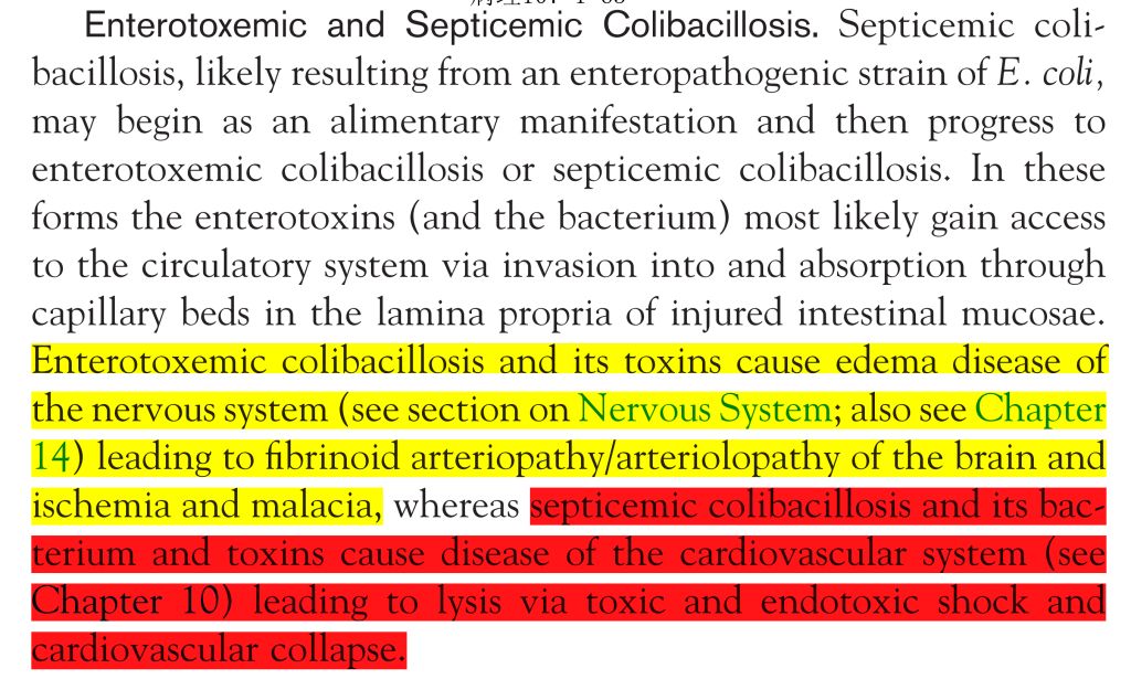 5e398621cfa97.jpg#s-1024,615