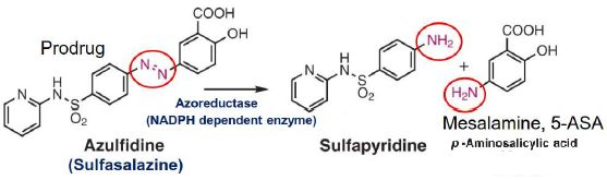5e3ba1acb71d1.jpg#s-557,165