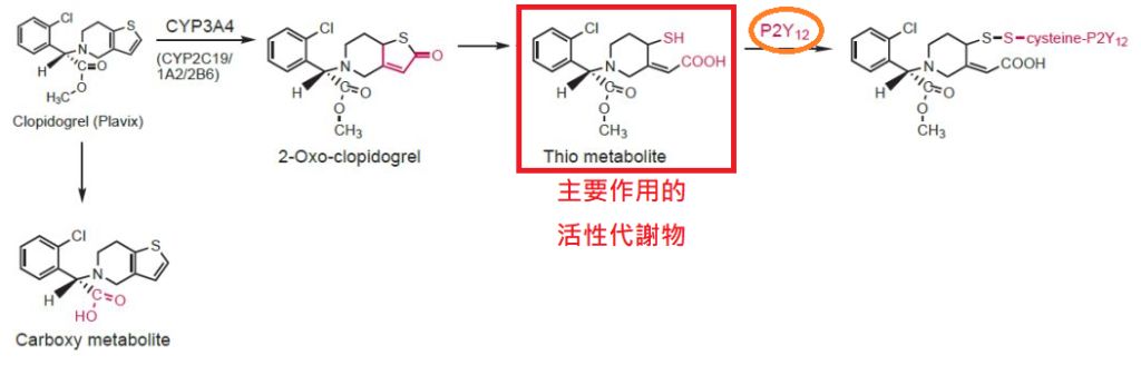5e3bad99ca9cc.jpg#s-1024,328