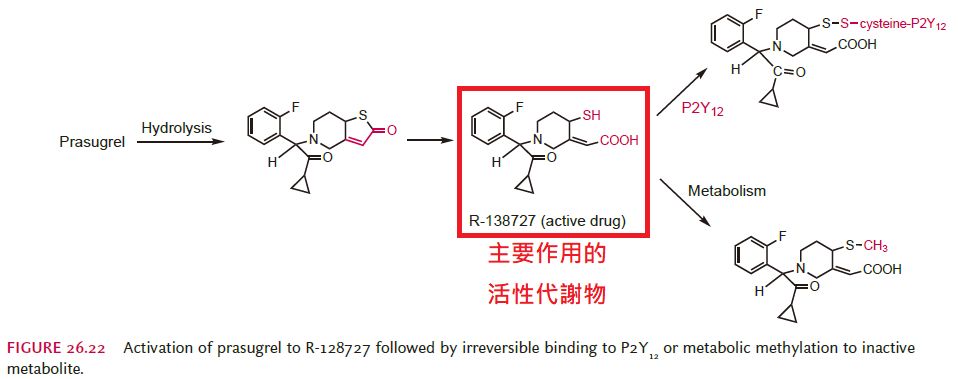 5e3bae9ca24e7.jpg#s-958,379