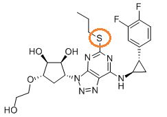 5e3bb25217be8.jpg#s-243,170