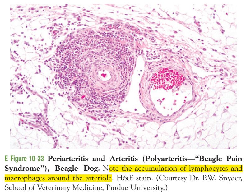 5e3cdc2ca9bde.jpg#s-791,624