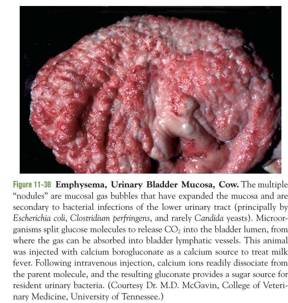 5e3d026cc2474.jpg#s-965,1014