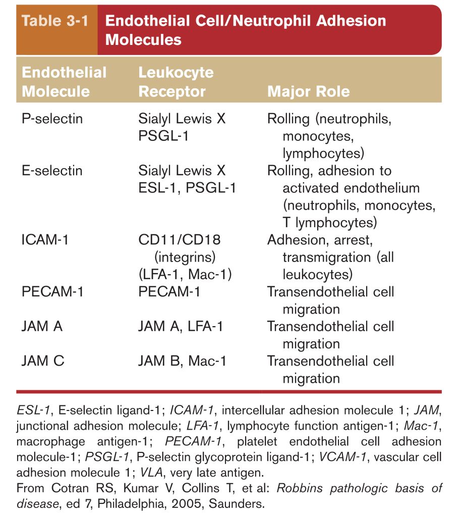 5e3e66bf43e30.jpg#s-918,1024