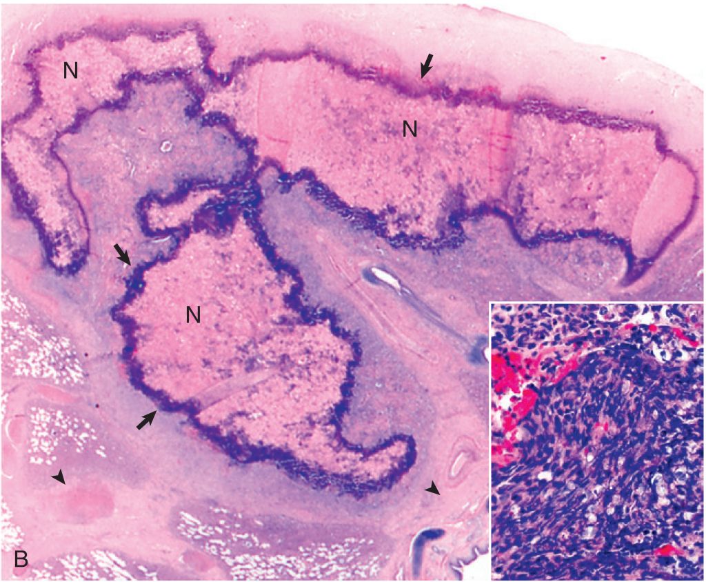 5e3e6cdbba333.jpg#s-1024,844