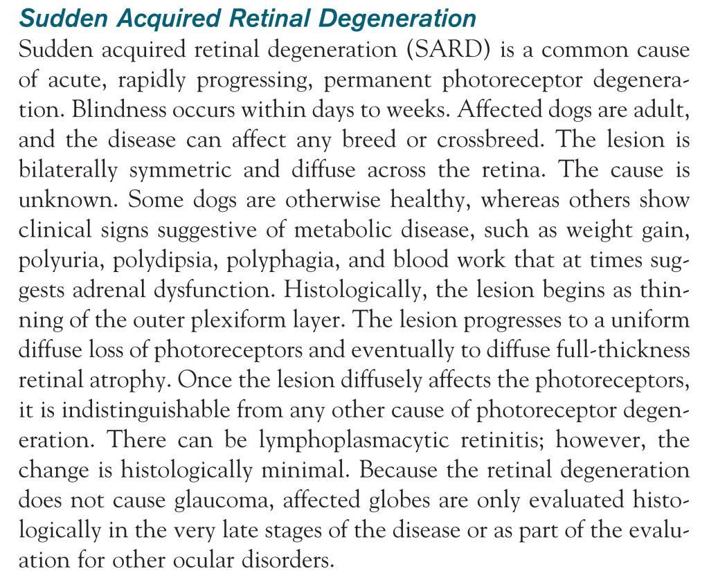 5e3eab91ecef2.jpg#s-1024,838