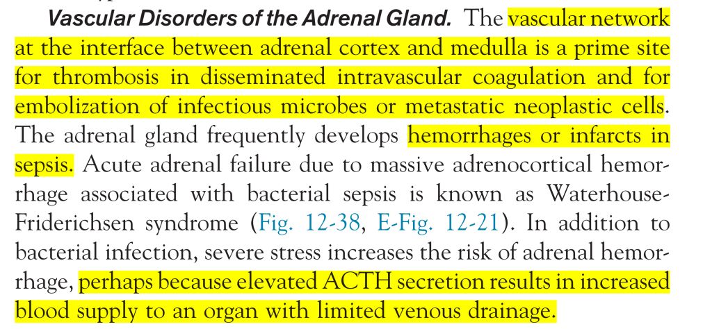 5e3ec39a1faf7.jpg#s-1024,474