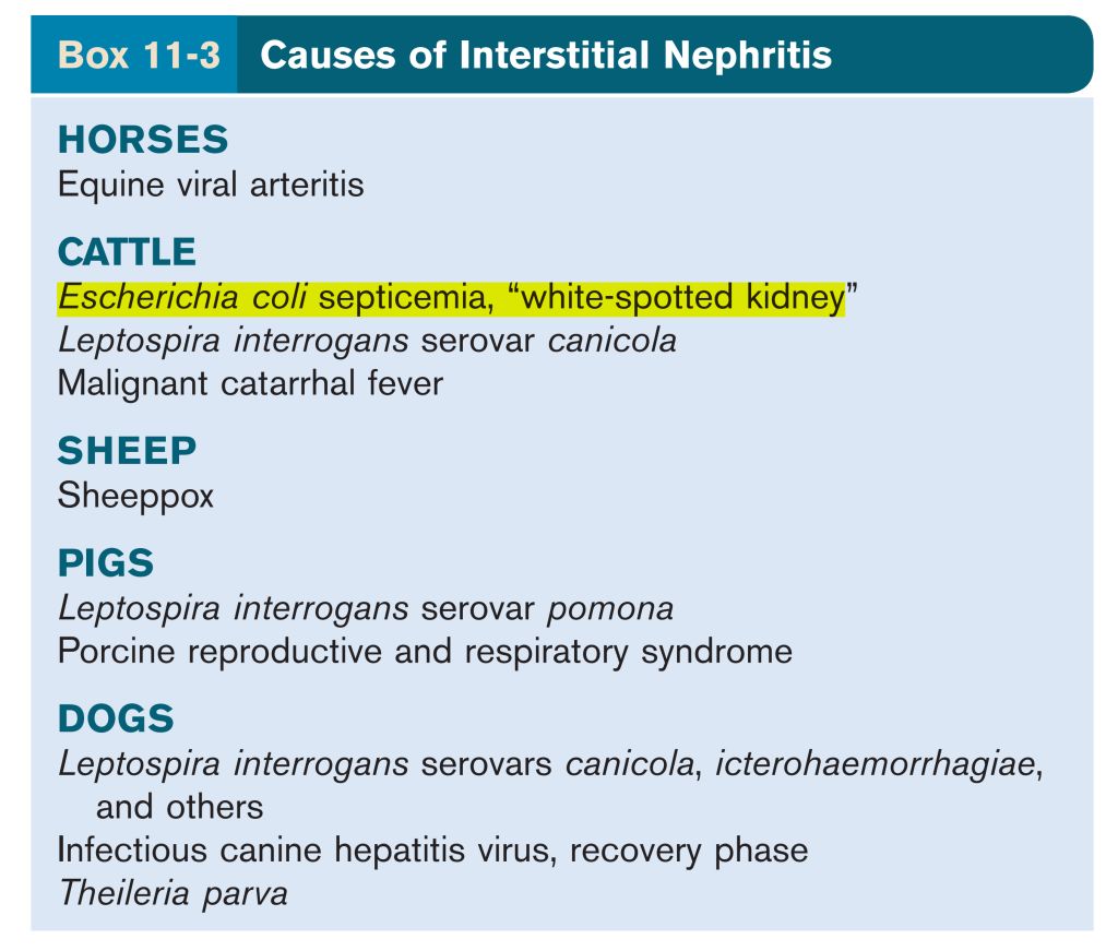 5e3f7cc7d17ba.jpg#s-1024,871