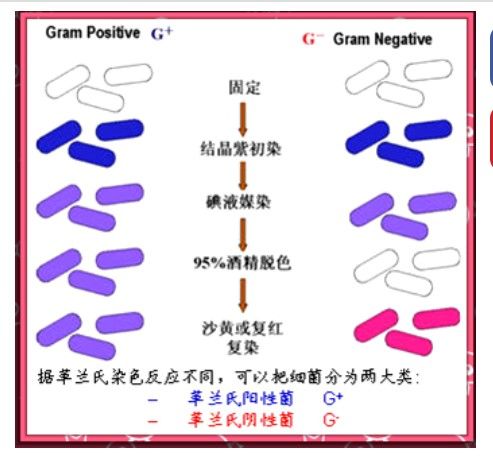 5e411564f2b47.jpg#s-493,456