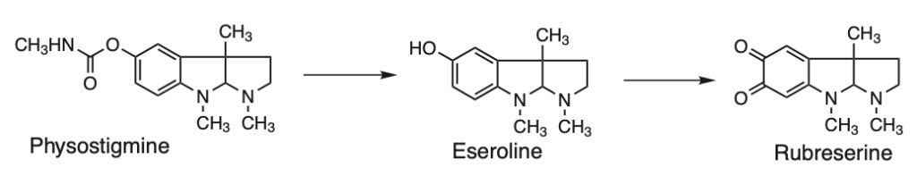 5e413e6834342.jpg#s-1024,197