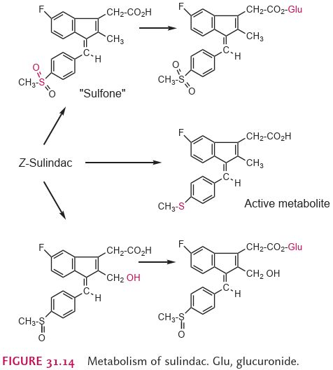 5e4196d4ecb02.jpg#s-476,528
