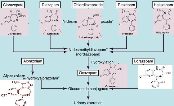 5e42196658a66.jpg#s-561,344