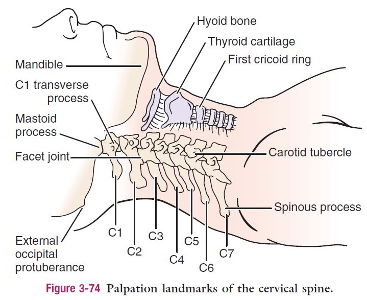 5e422e5a564d8.jpg#s-719,587