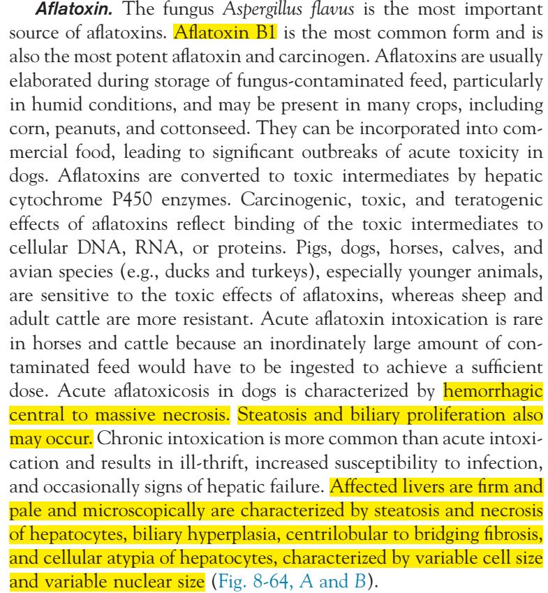 5e434aca3062e.jpg#s-785,849