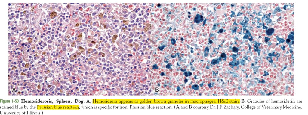 5e449e07c80ce.jpg#s-1024,384