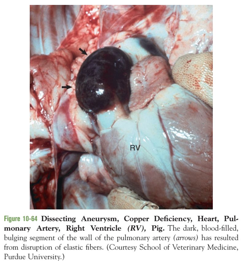 5e45f3b25931f.jpg#s-799,850