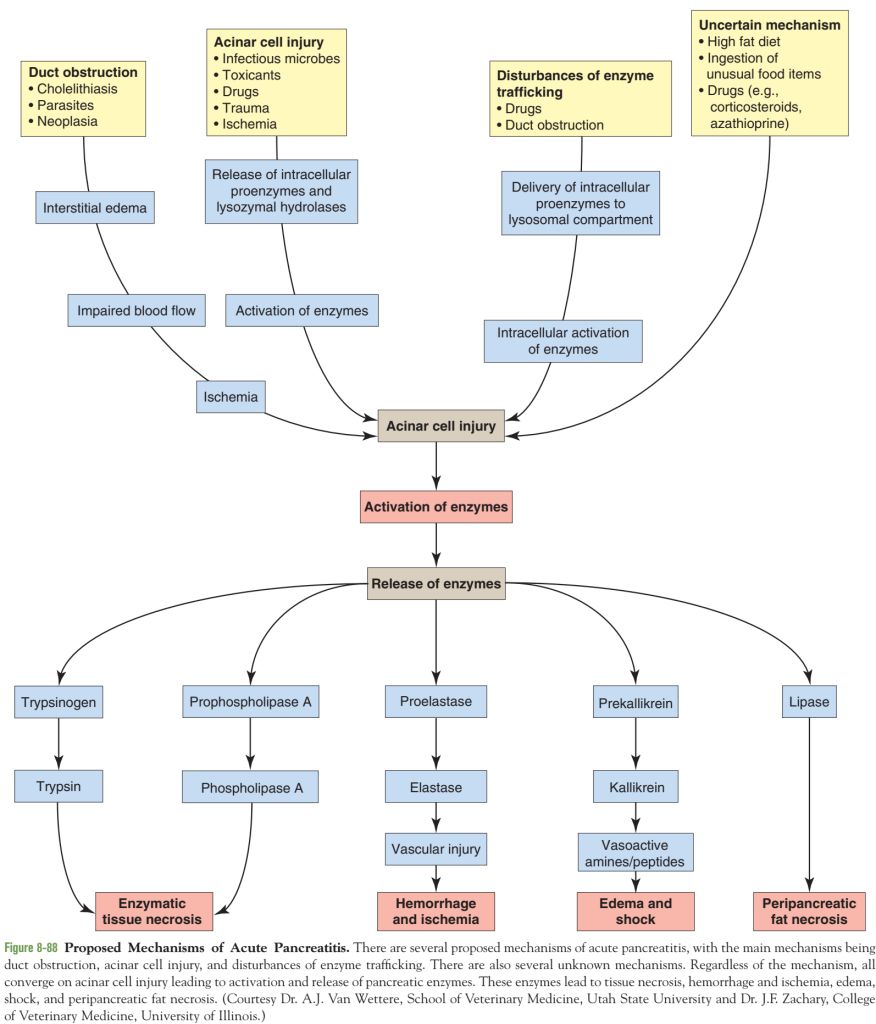 5e4610a9d9be8.jpg#s-876,1024