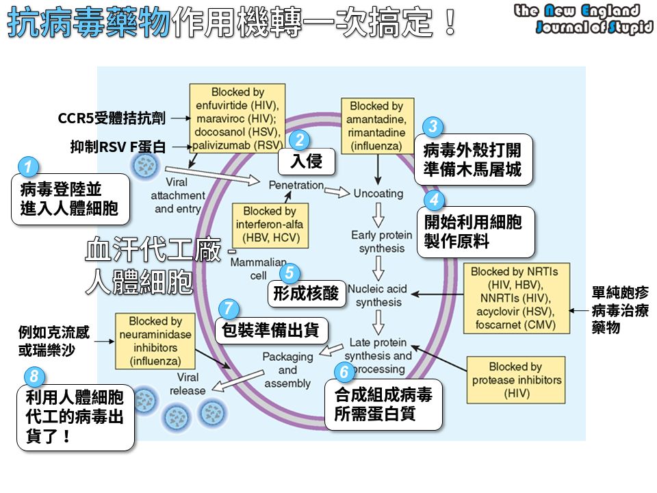 5e46cbf1d8928.jpg#s-960,720