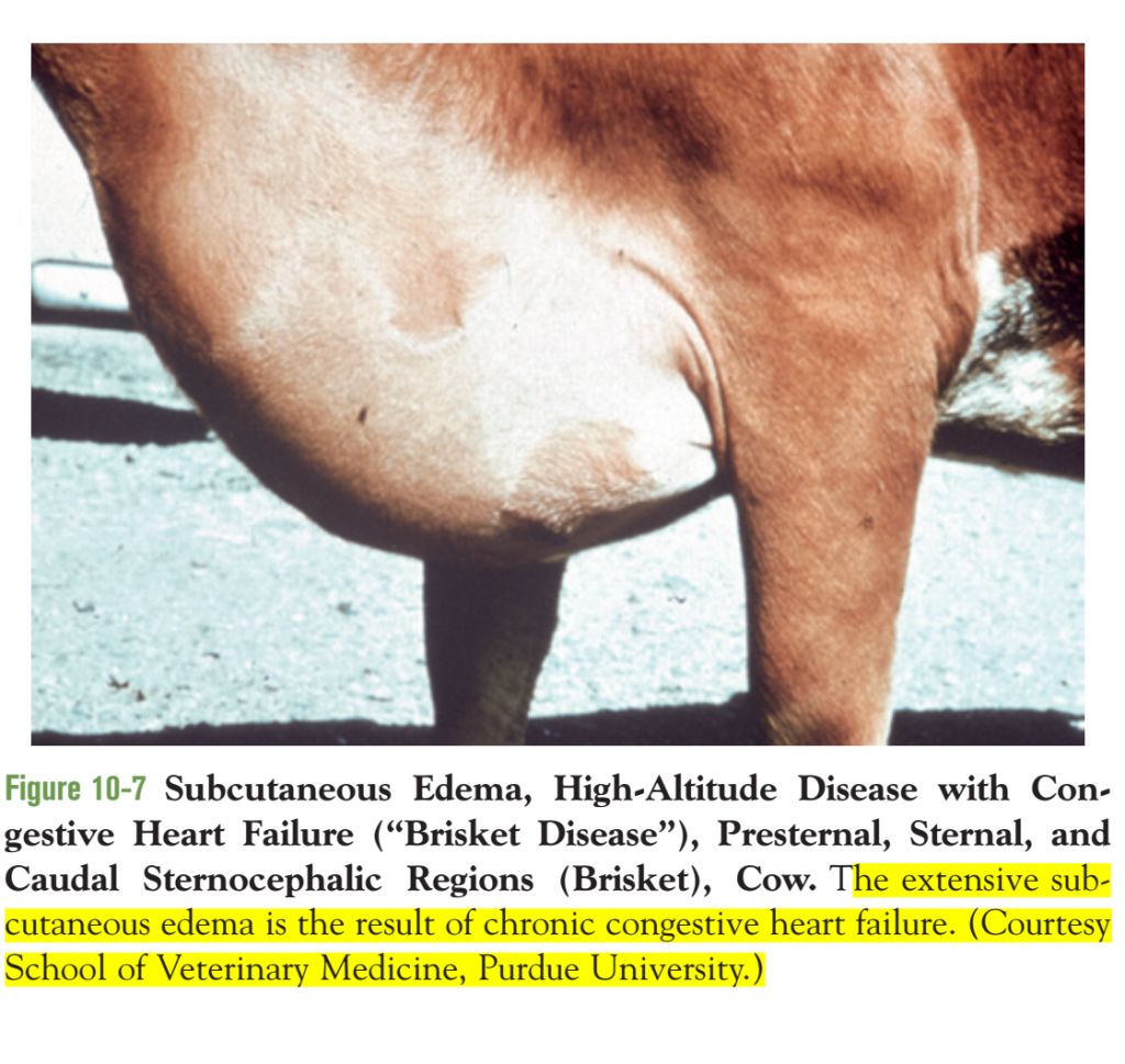 5e47fef80666b.jpg#s-1024,969