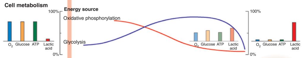 5e48b3c8b33bb.jpg#s-1024,197