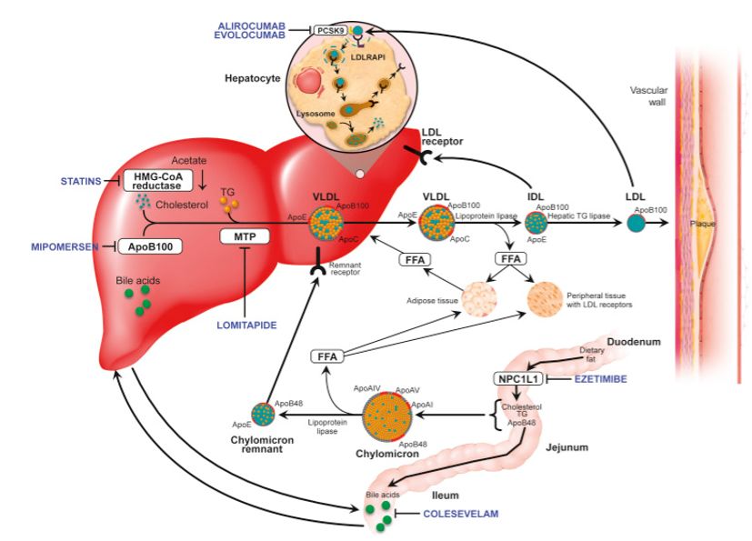 5e48df18c1667.jpg#s-827,595